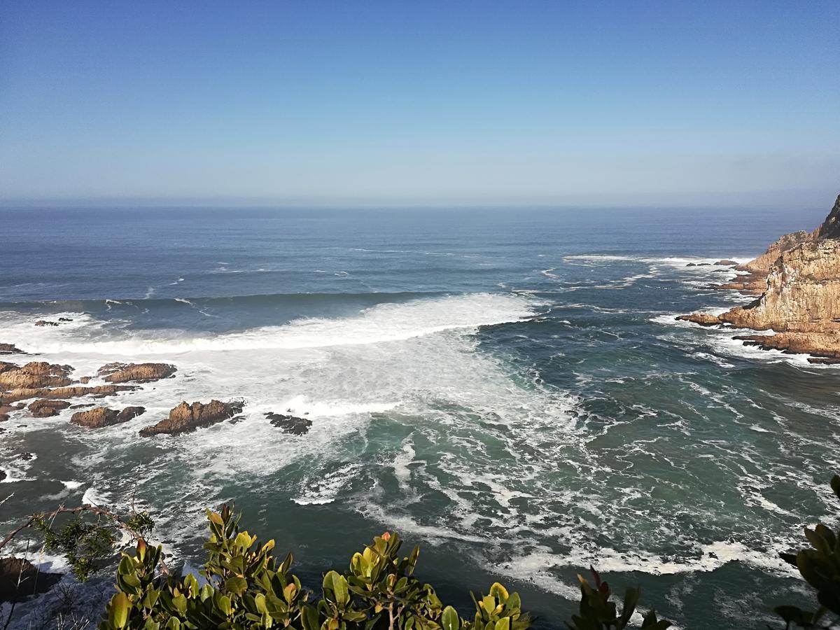 Knysna Herons Guest House Buitenkant foto