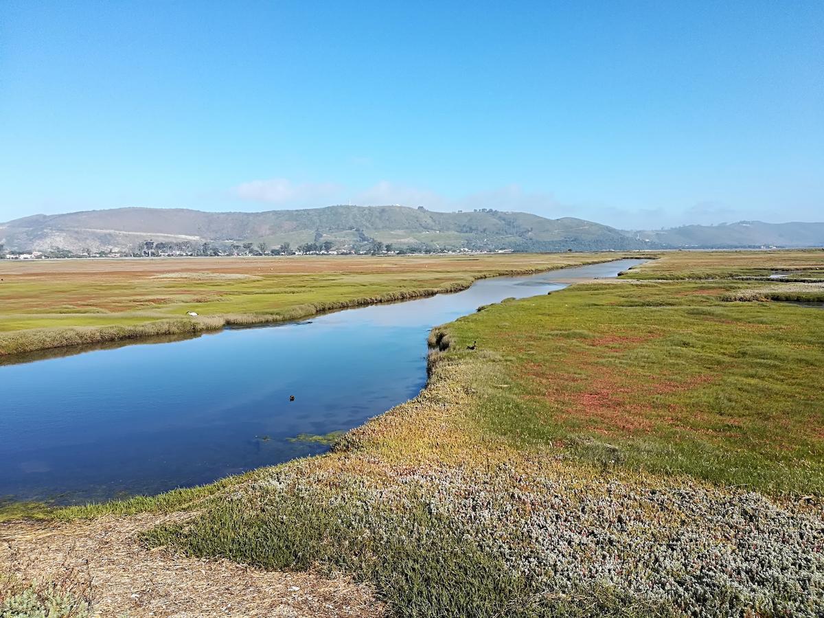 Knysna Herons Guest House Buitenkant foto