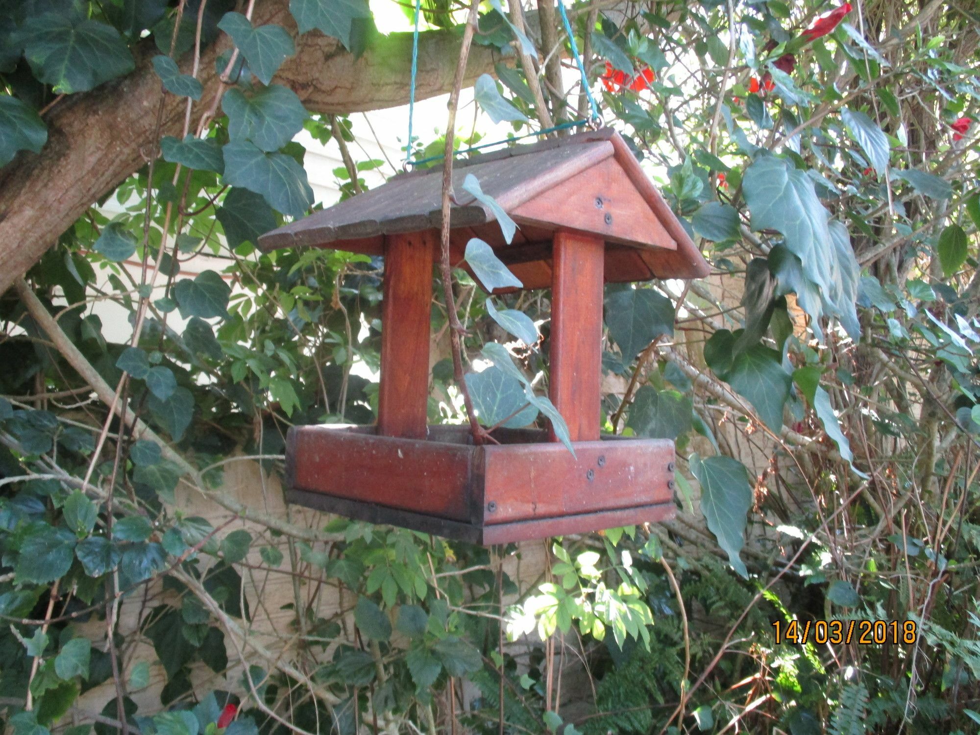 Knysna Herons Guest House Buitenkant foto